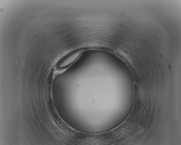 X0000066510732200603311729