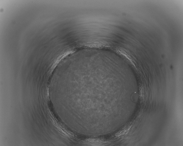 X0000066510733200603311729