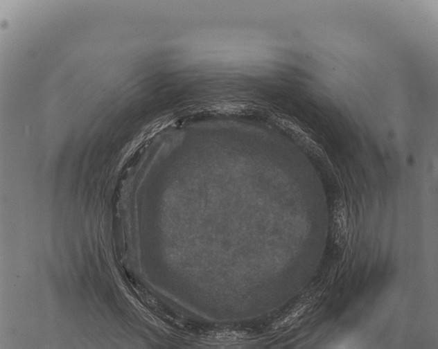 X0000066510734200603311729