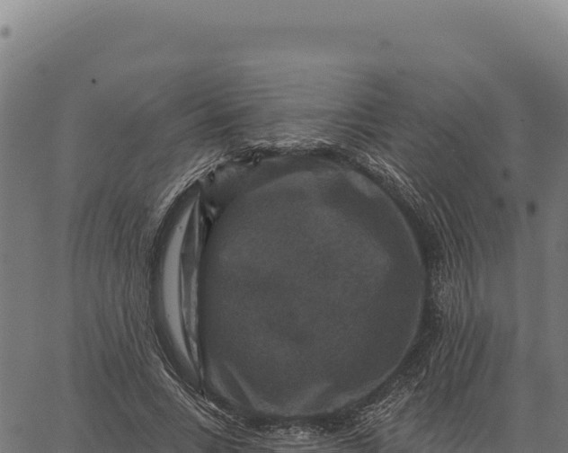 X0000066510735200603311729