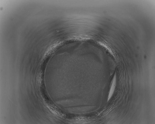 X0000066510736200603311729