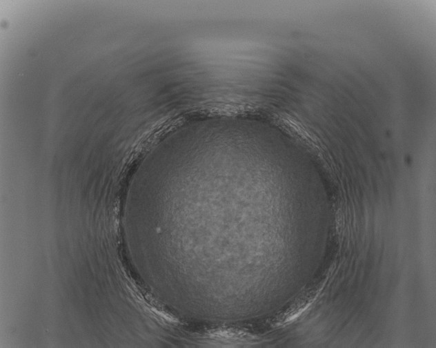 X0000066510737200603311729