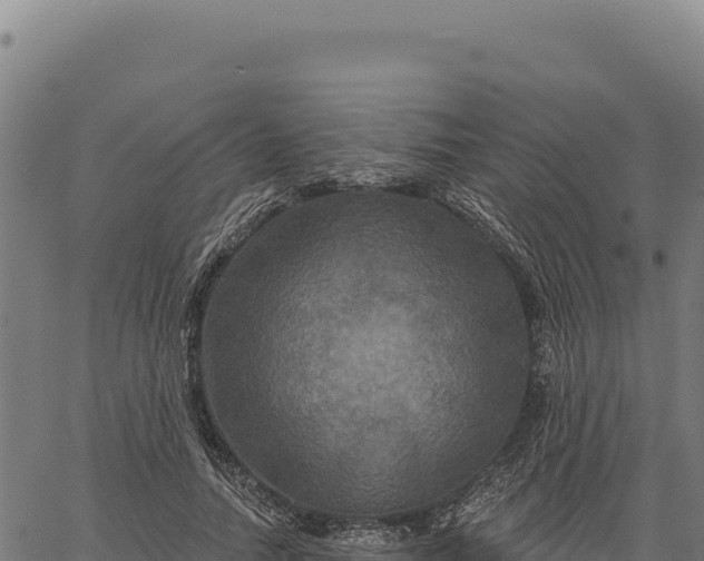 X0000066510738200603311729