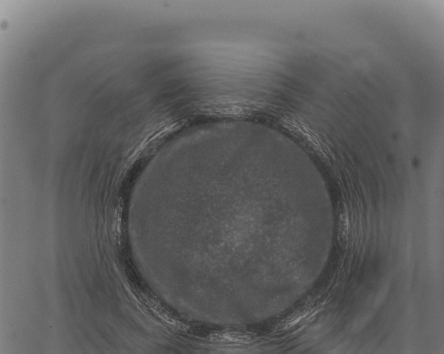 X0000066510739200603311729