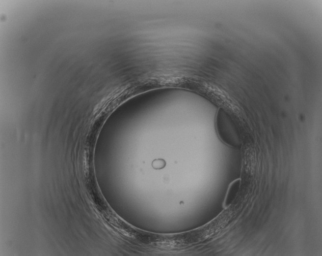 X0000066510740200603311729