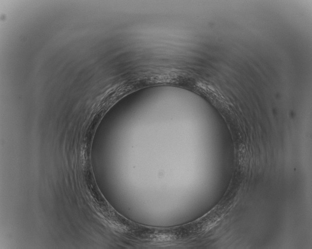 X0000066510741200603311729