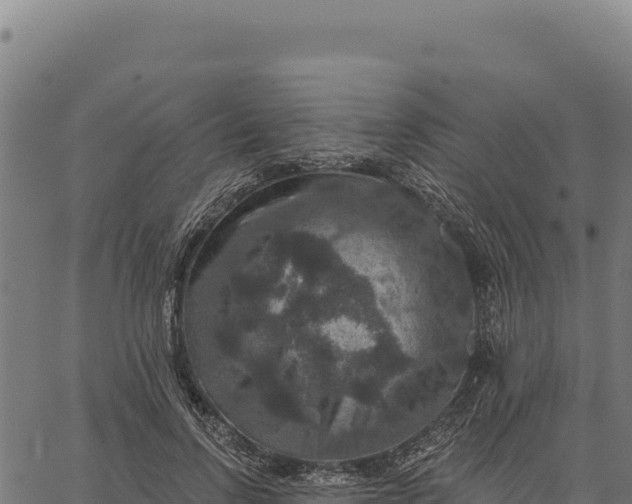 X0000066510742200603311729