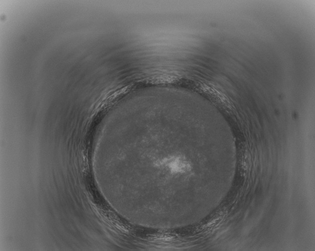 X0000066510743200603311729