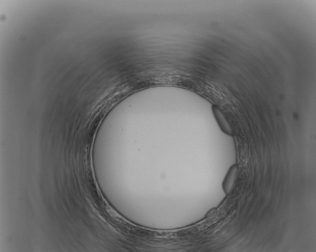 X0000066510744200603311729