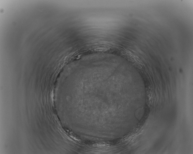 X0000066510745200603311729