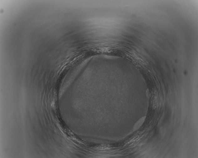 X0000066510747200603311729