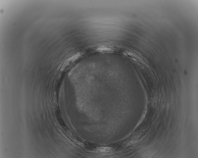 X0000066510748200603311729