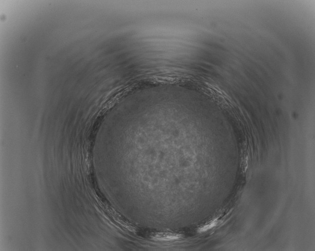 X0000066510749200603311729