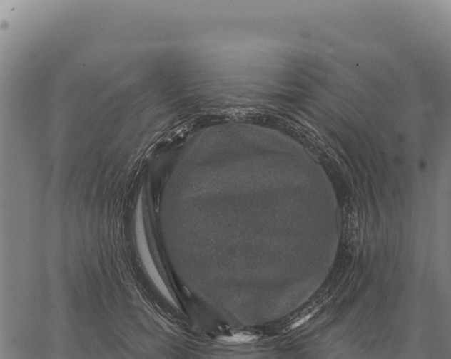 X0000066510750200603311729