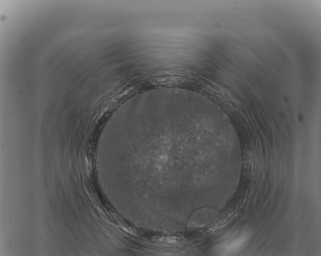 X0000066510751200603311729