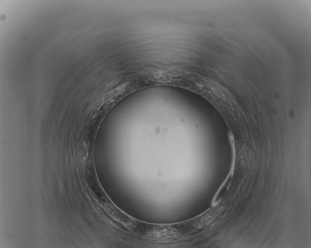 X0000066510752200603311729