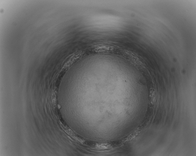 X0000066510753200603311729