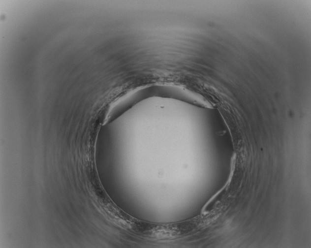 X0000066510756200603311729