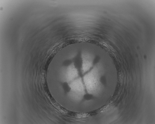 X0000066510757200603311729