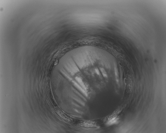 X0000066510758200603311729