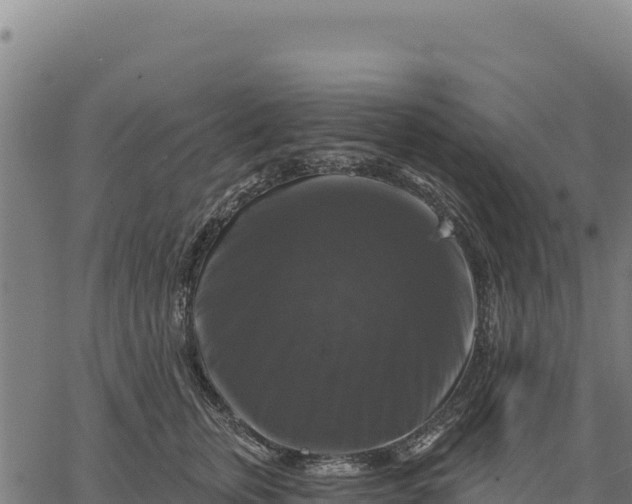 X0000066510759200603311729