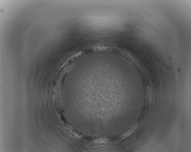 X0000066510761200603311729