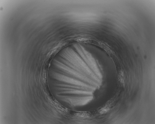 X0000066510763200603311729