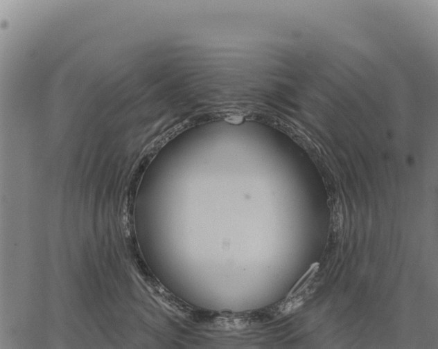 X0000066510764200603311729