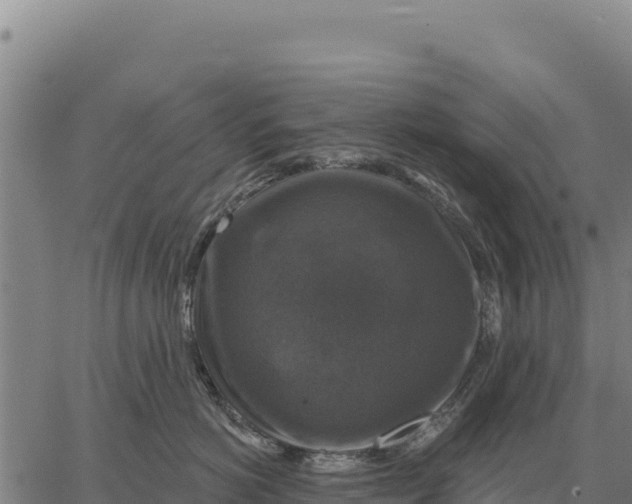 X0000066510766200603311729