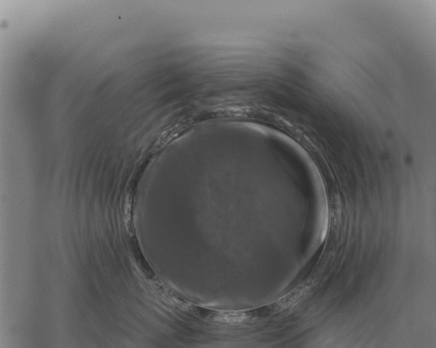 X0000066510767200603311729