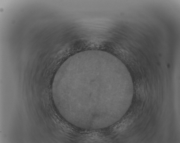 X0000066510769200603311728