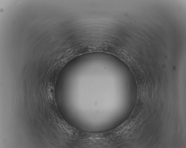 X0000066510770200603311728