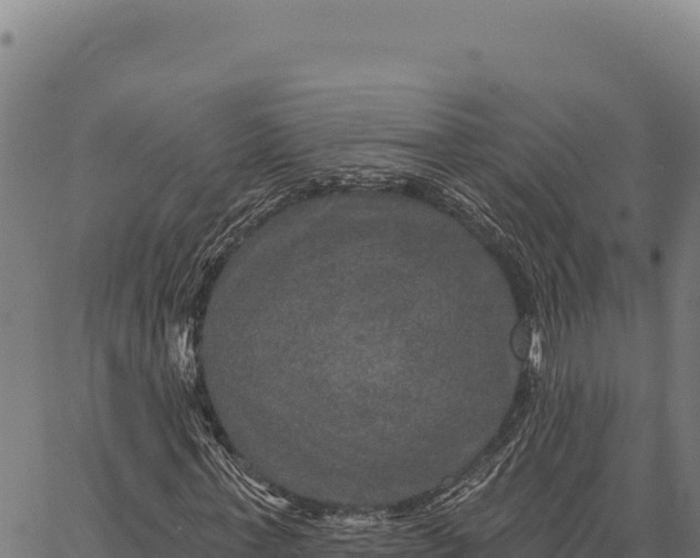 X0000066510771200603311728