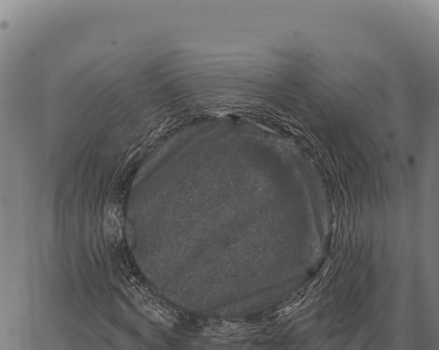 X0000066510772200603311728