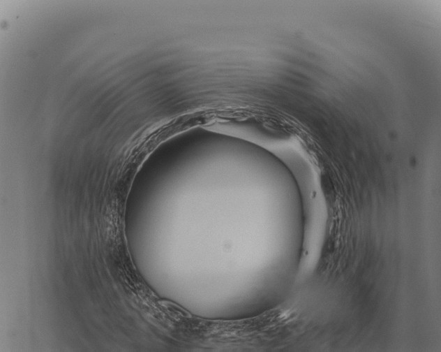 X0000066510773200603311728