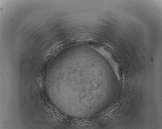 X0000066510774200603311728