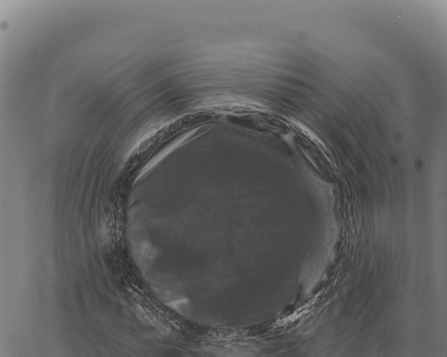 X0000066510775200603311728