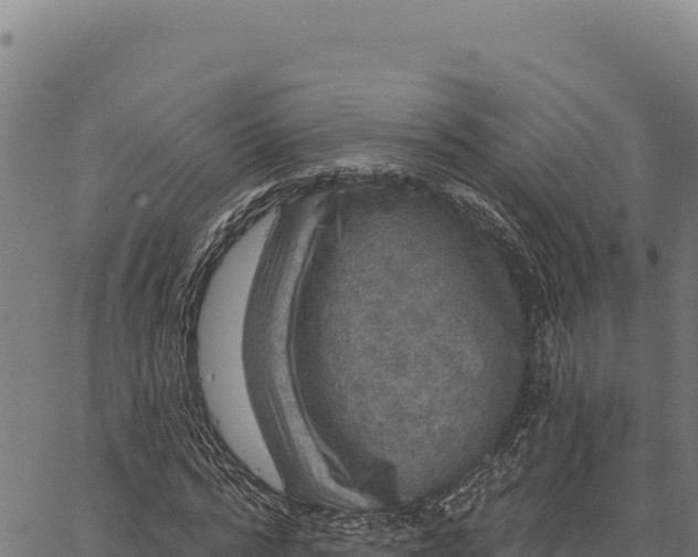 X0000066510776200603311728