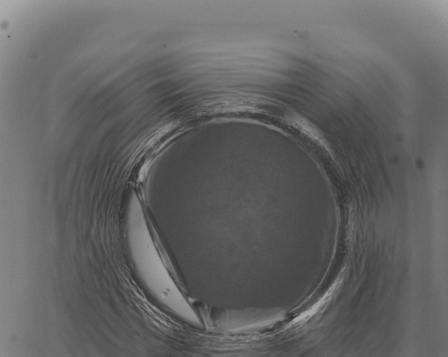 X0000066510777200603311728