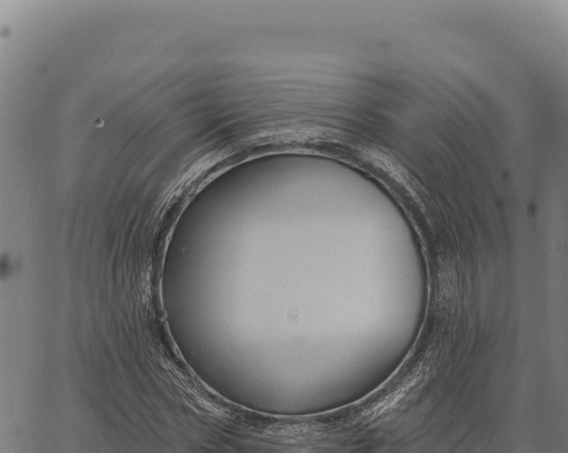 X0000066510778200603311728