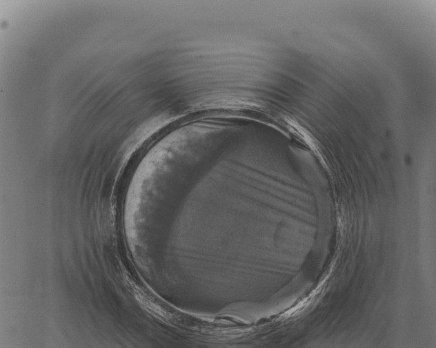 X0000066510779200603311728