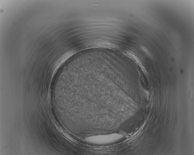 X0000066510780200603311728