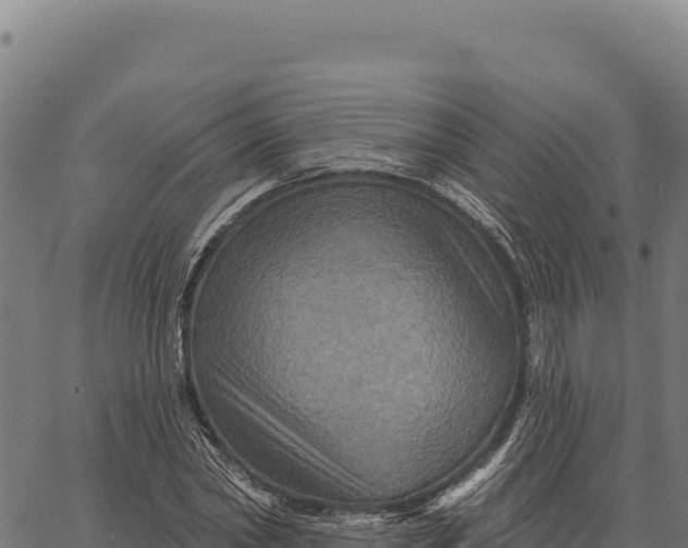 X0000066510782200603311728