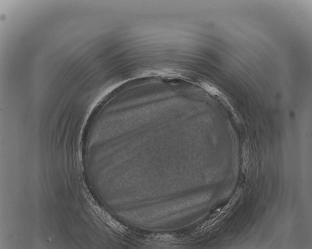 X0000066510784200603311728