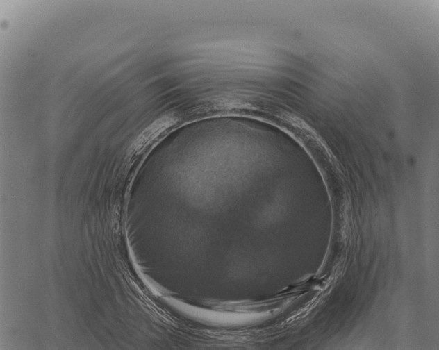 X0000066510785200603311728