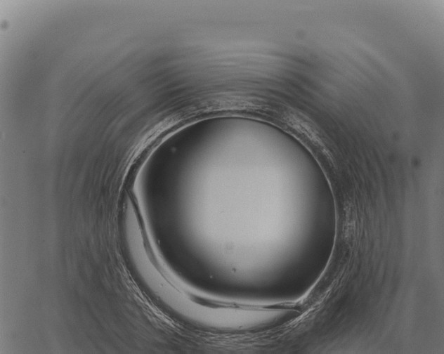 X0000066510786200603311728