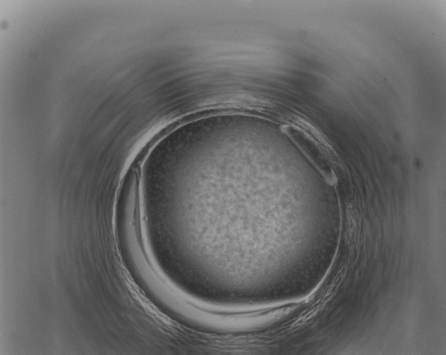 X0000066510788200603311728