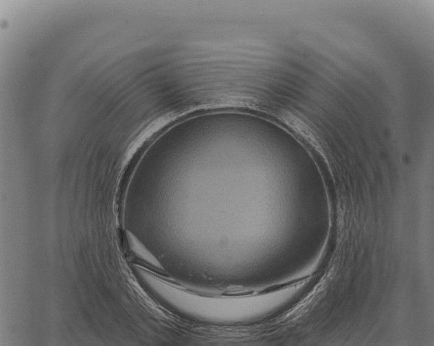 X0000066510789200603311728