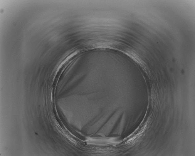 X0000066510790200603311728