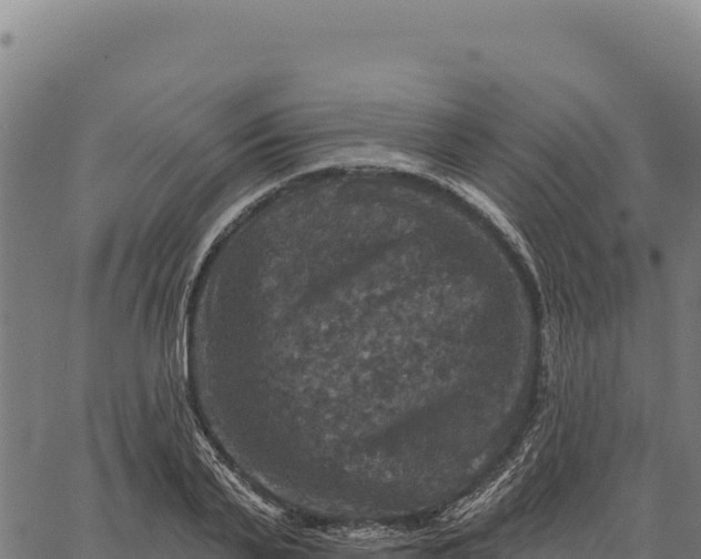 X0000066510791200603311728